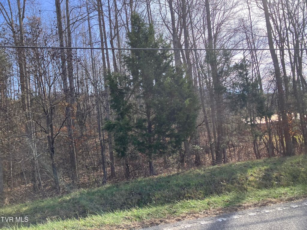 Photo of Tbd Cherokee Road, Jonesborough, TN 37659 (MLS # 9988815)
