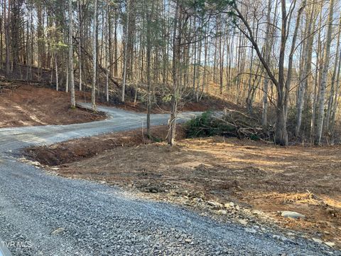 Vacant Land For Sale - 3927 Cherokee Road<br/> Jonesborough, TN 37659