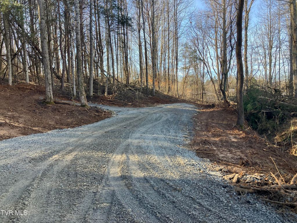 Photo of 3927 Cherokee Road, Jonesborough, TN 37659 (MLS # 9988815)