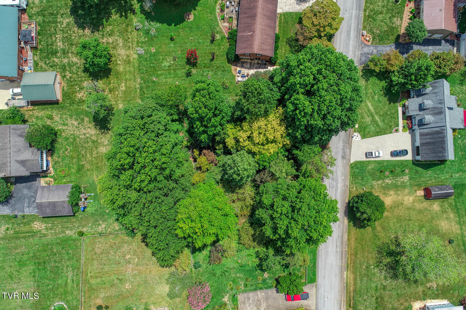 Tbd Ruth Brook Drive, Mount Carmel, Tennessee image 8