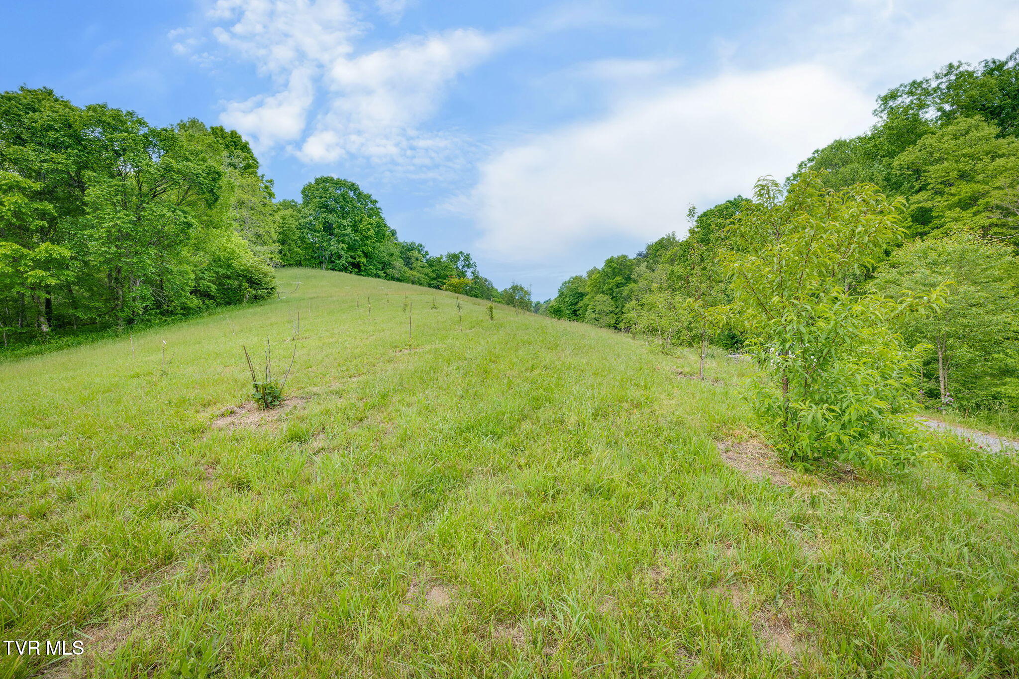 838 Longs Bend Road, Rogersville, Tennessee image 33