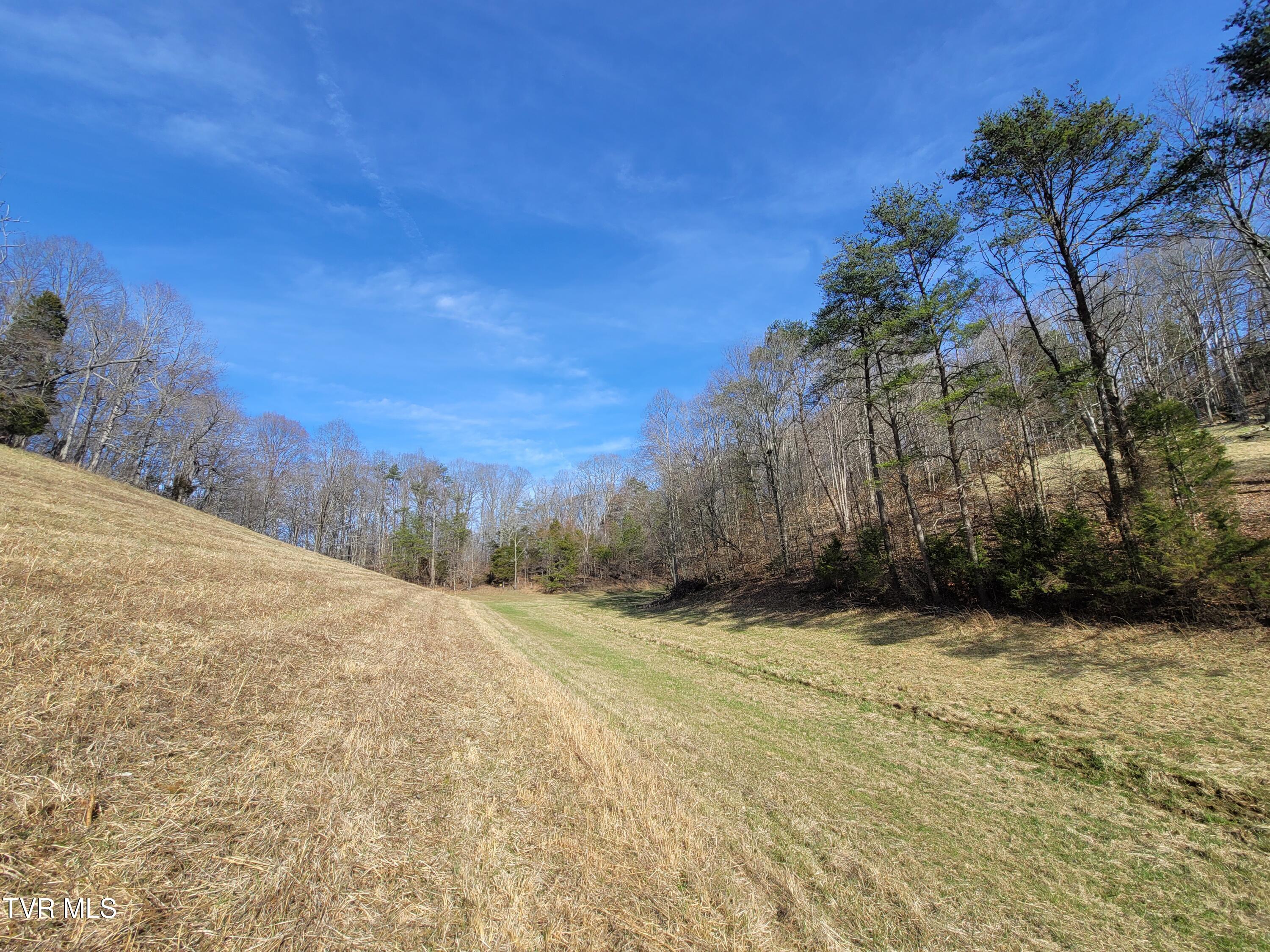 838 Longs Bend Road, Rogersville, Tennessee image 11