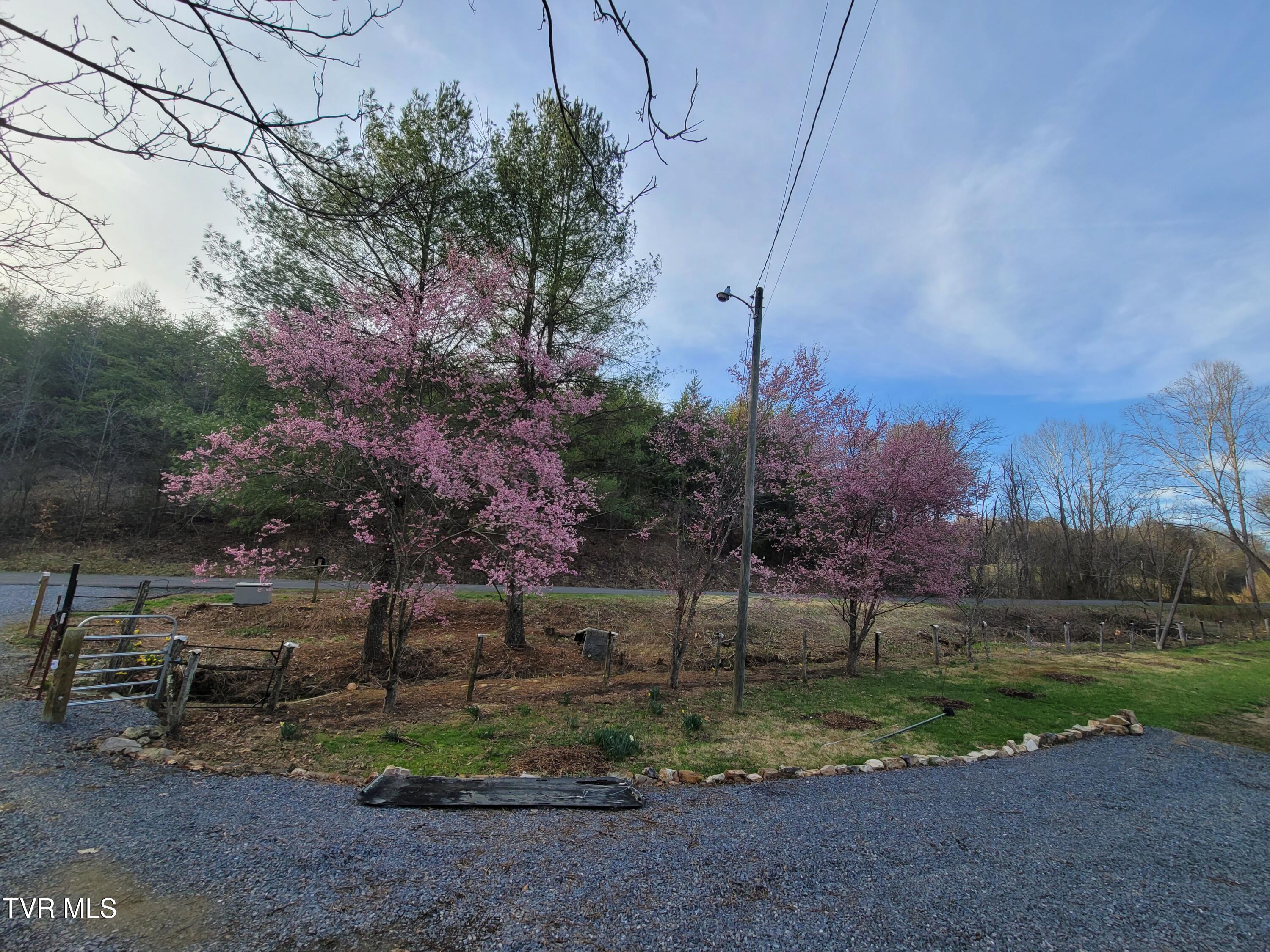 838 Longs Bend Road, Rogersville, Tennessee image 13