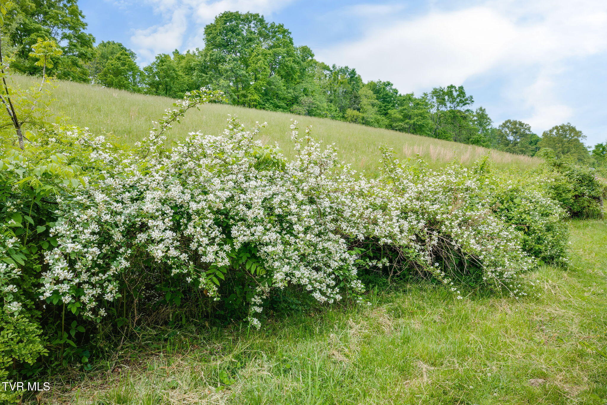 838 Longs Bend Road, Rogersville, Tennessee image 31