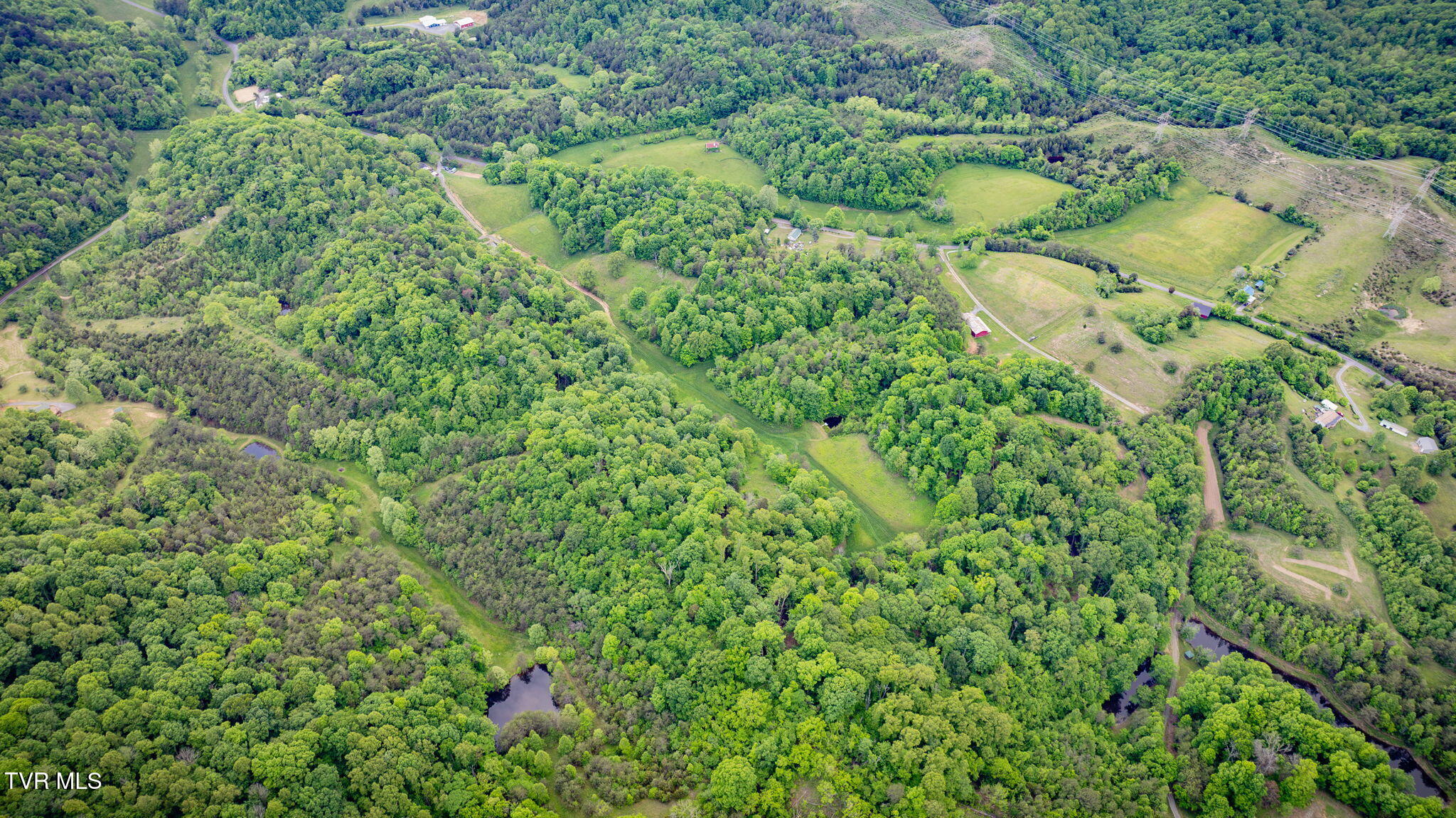 838 Longs Bend Road, Rogersville, Tennessee image 49