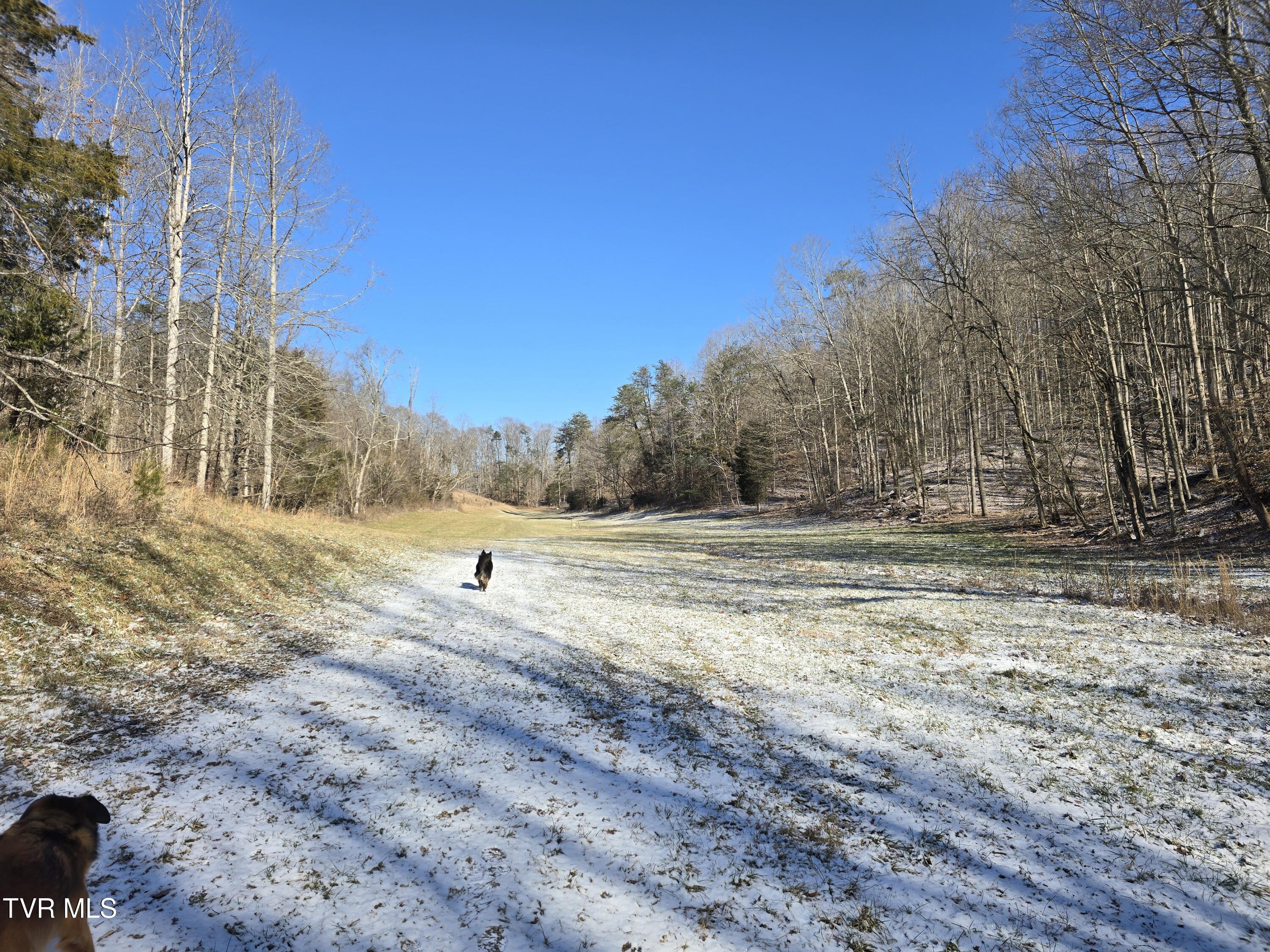 838 Longs Bend Road, Rogersville, Tennessee image 40