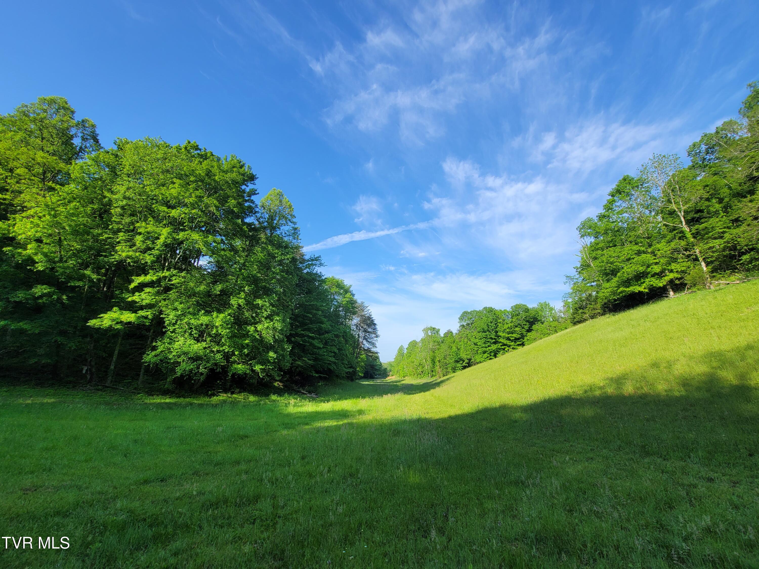 838 Longs Bend Road, Rogersville, Tennessee image 1