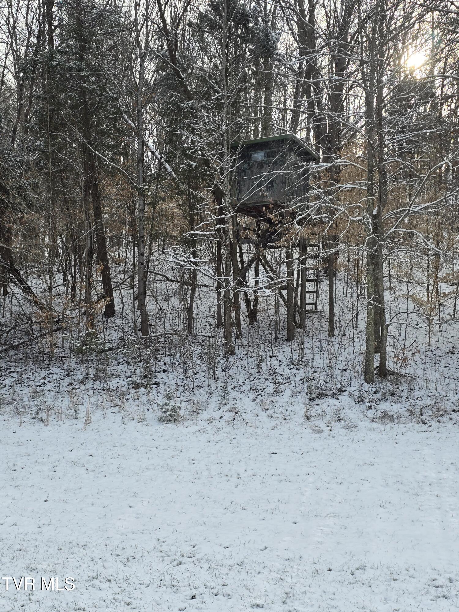 838 Longs Bend Road, Rogersville, Tennessee image 41