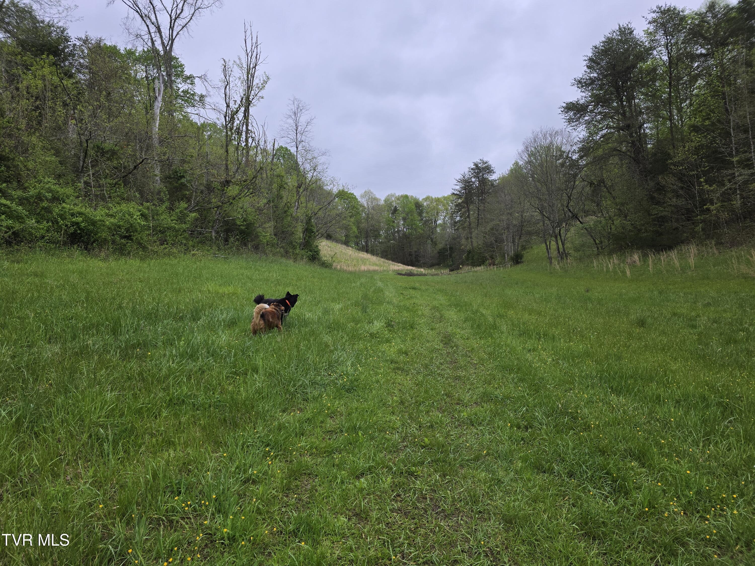 838 Longs Bend Road, Rogersville, Tennessee image 4