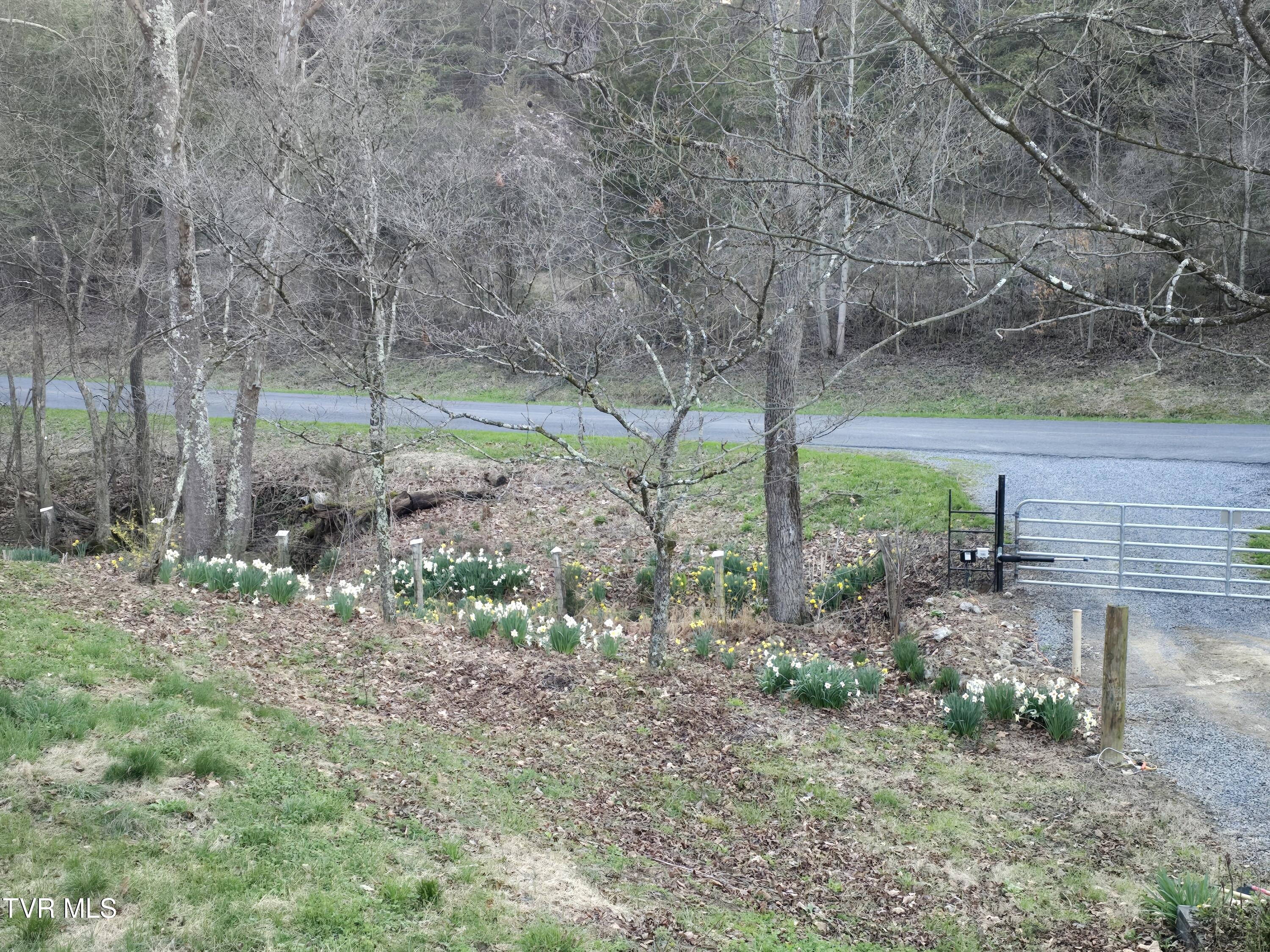 838 Longs Bend Road, Rogersville, Tennessee image 18