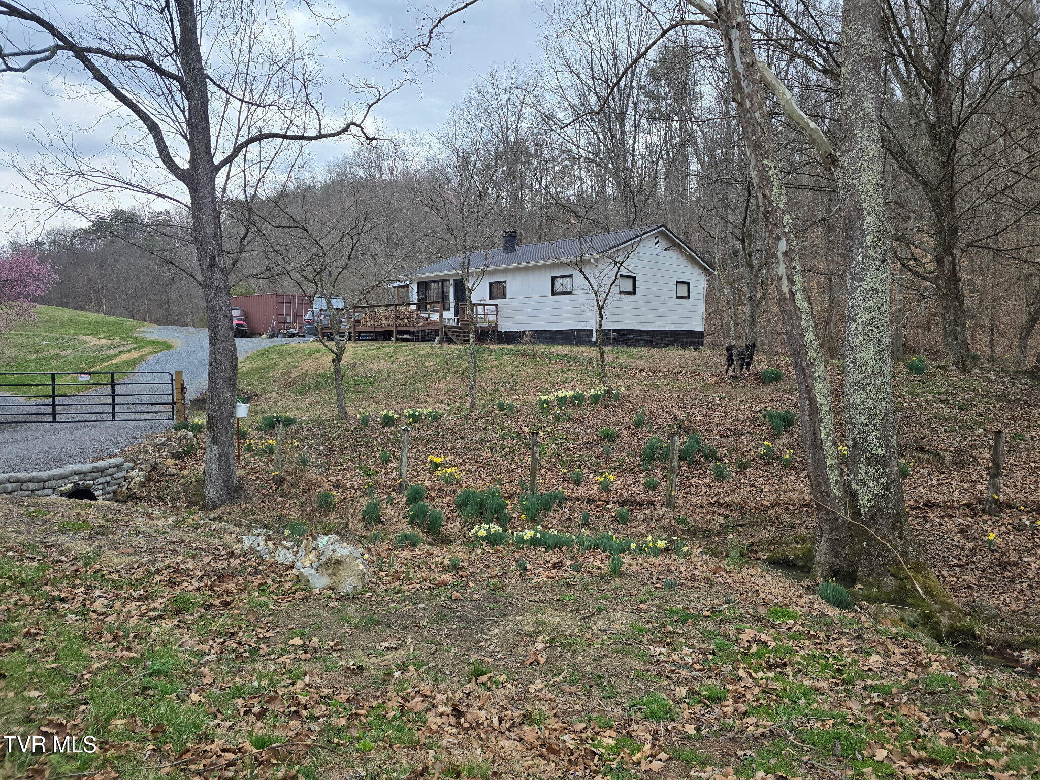 838 Longs Bend Road, Rogersville, Tennessee image 2