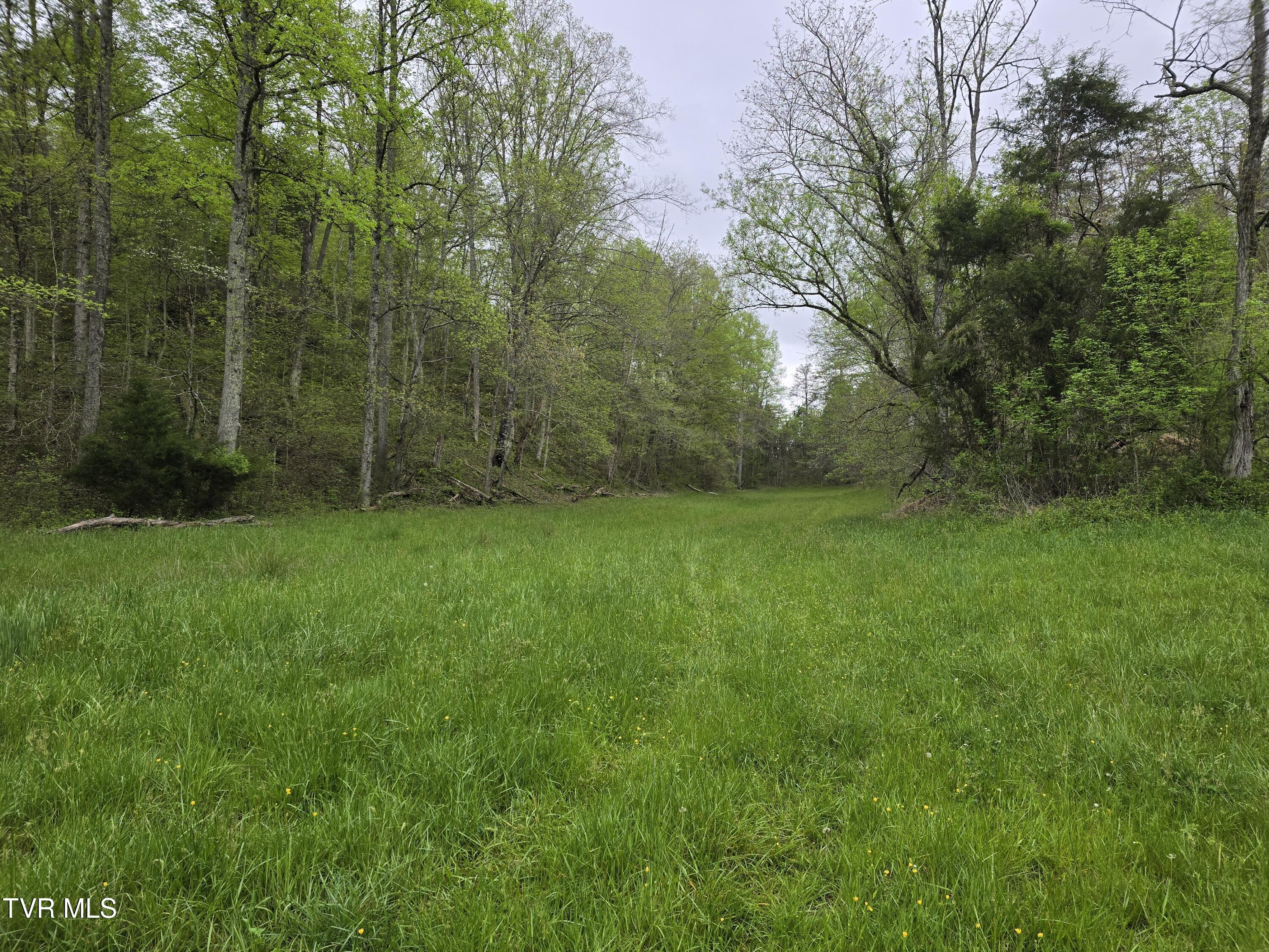 838 Longs Bend Road, Rogersville, Tennessee image 33