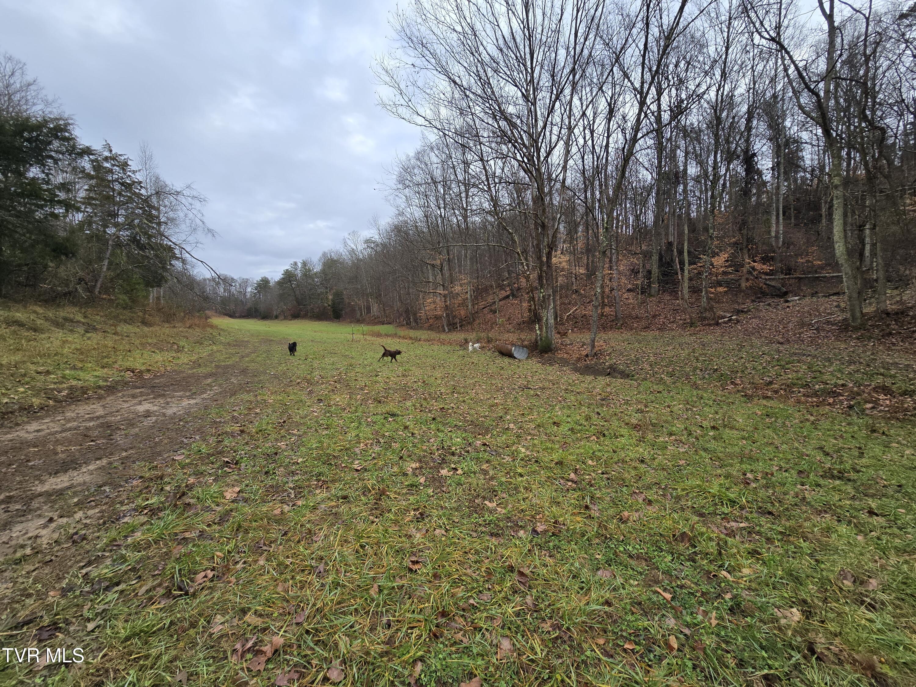 838 Longs Bend Road, Rogersville, Tennessee image 20