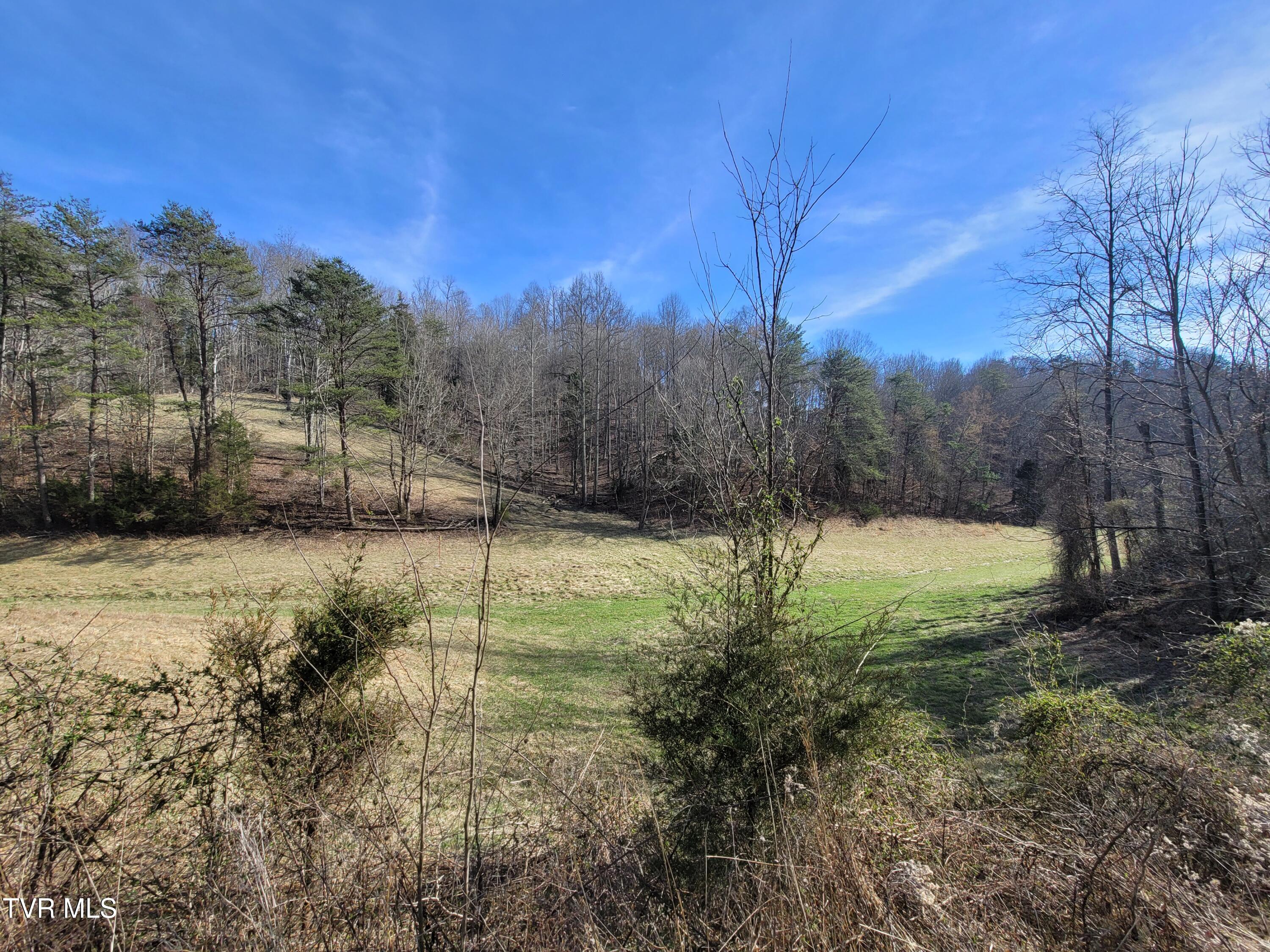 838 Longs Bend Road, Rogersville, Tennessee image 7
