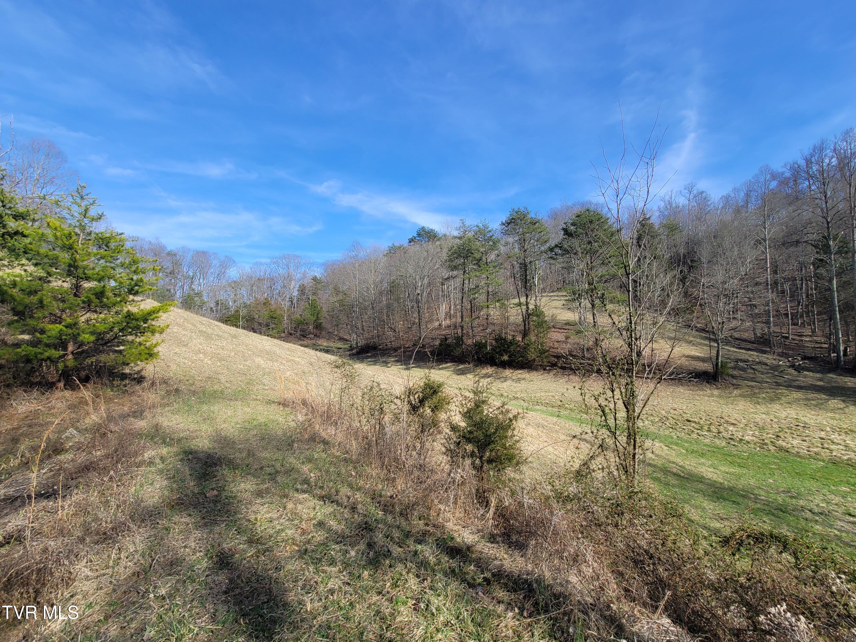 838 Longs Bend Road, Rogersville, Tennessee image 6