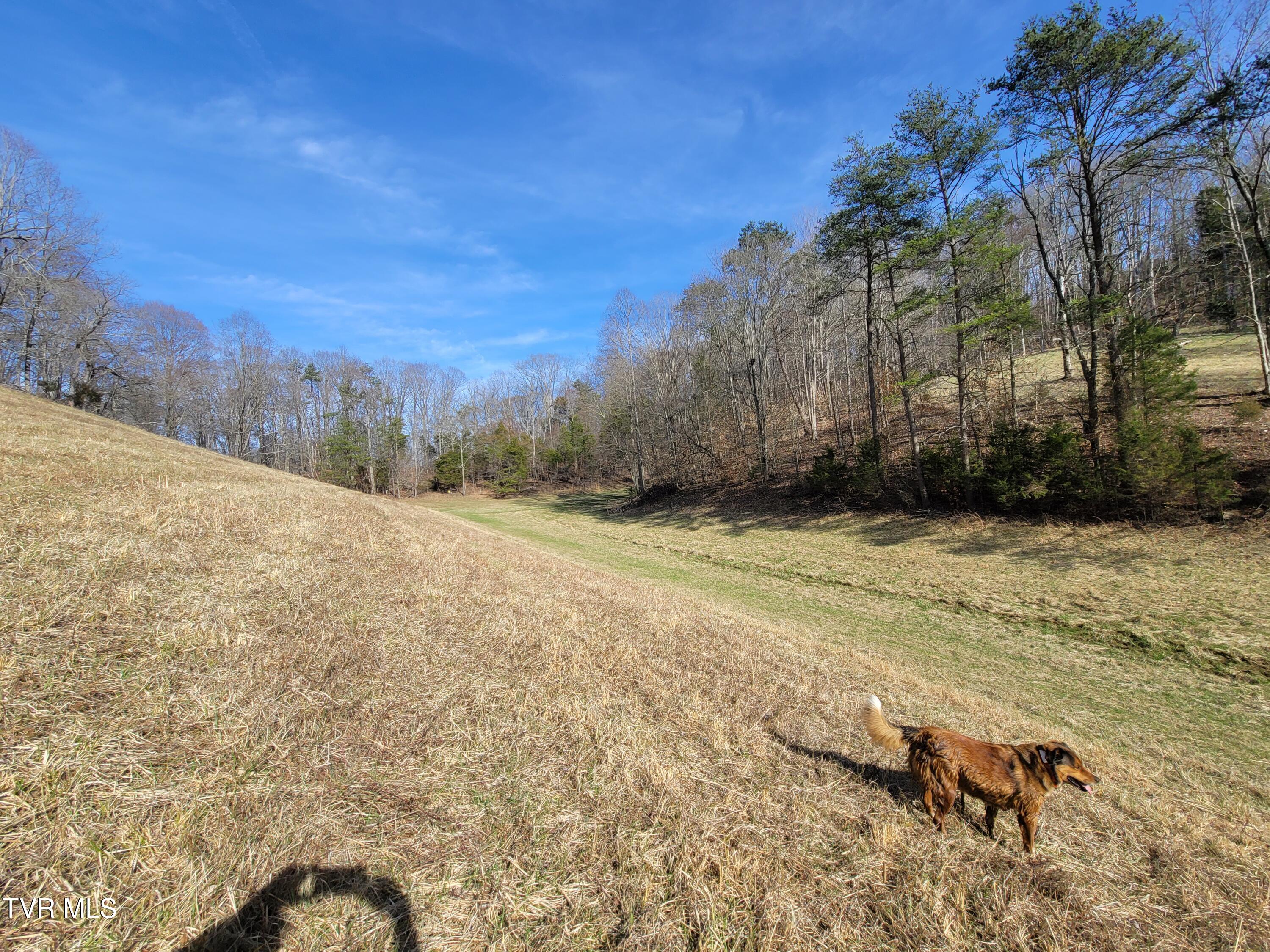 838 Longs Bend Road, Rogersville, Tennessee image 10