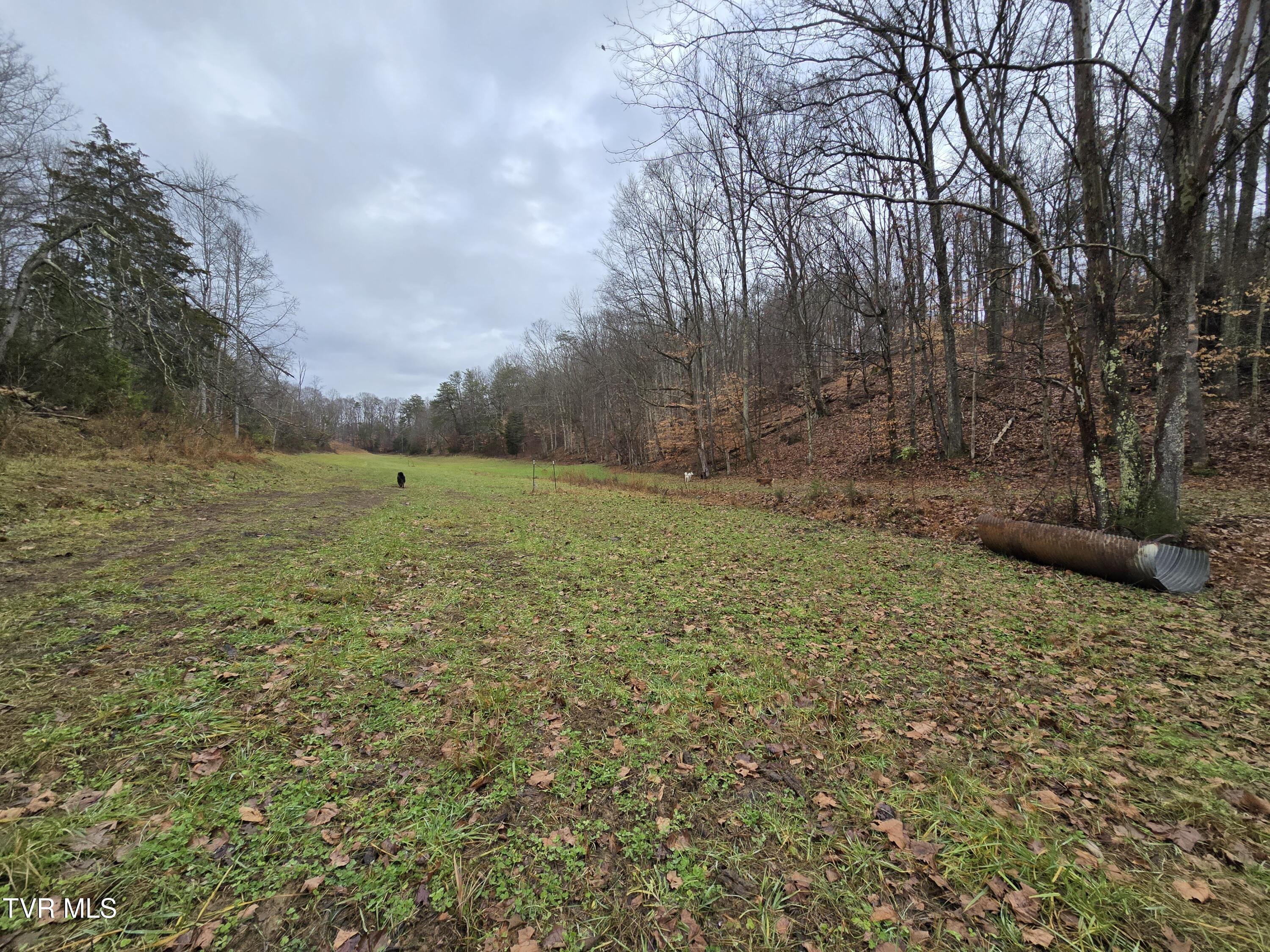 838 Longs Bend Road, Rogersville, Tennessee image 21