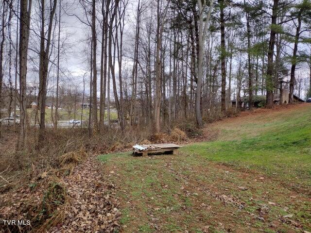 115 John Sevier Avenue, Jonesborough, Tennessee image 9