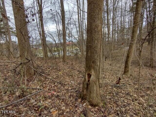 115 John Sevier Avenue, Jonesborough, Tennessee image 11