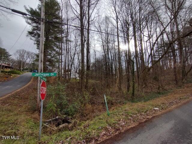 115 John Sevier Avenue, Jonesborough, Tennessee image 4