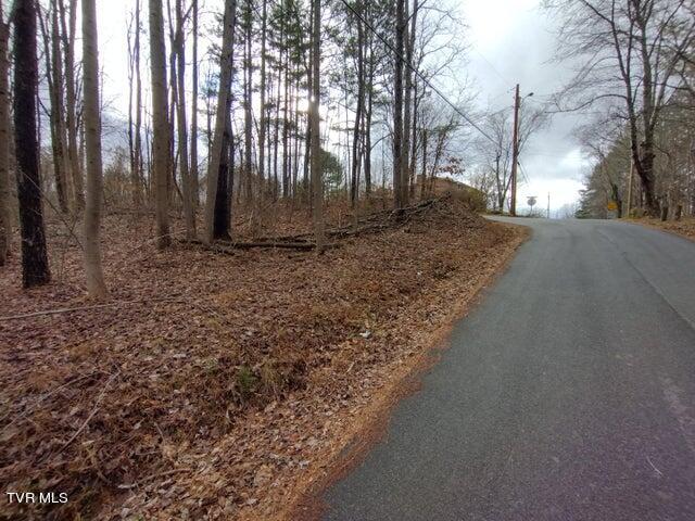 115 John Sevier Avenue, Jonesborough, Tennessee image 15