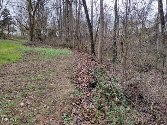 115 John Sevier Avenue, Jonesborough, Tennessee image 8