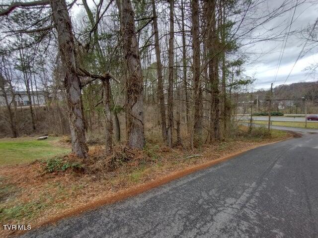115 John Sevier Avenue, Jonesborough, Tennessee image 7
