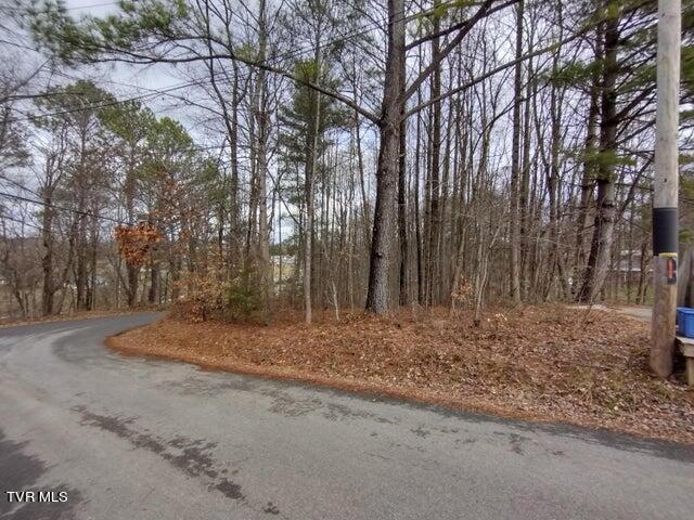 115 John Sevier Avenue, Jonesborough, Tennessee image 13