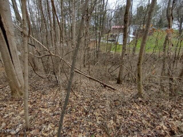 115 John Sevier Avenue, Jonesborough, Tennessee image 12