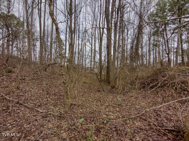 115 John Sevier Avenue, Jonesborough, Tennessee image 10