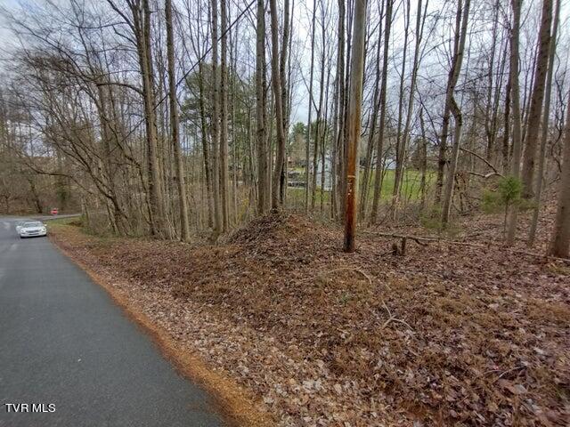 115 John Sevier Avenue, Jonesborough, Tennessee image 14