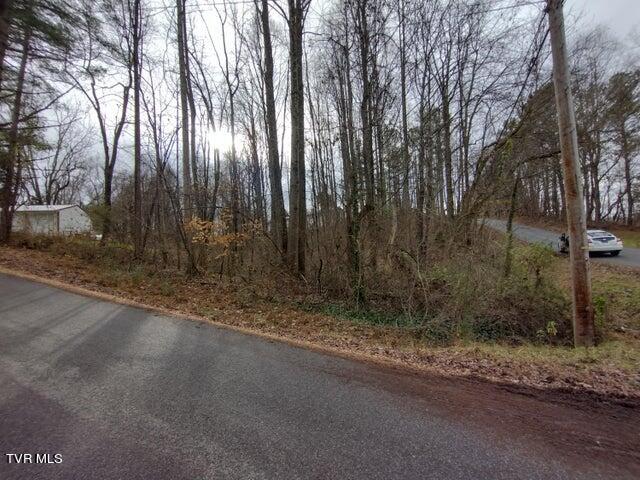 115 John Sevier Avenue, Jonesborough, Tennessee image 6