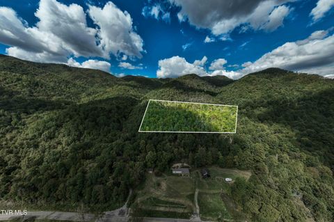 Vacant Land For Sale - TBD Roan Creek Road<br/> Johnson County, Butler, TN 37640