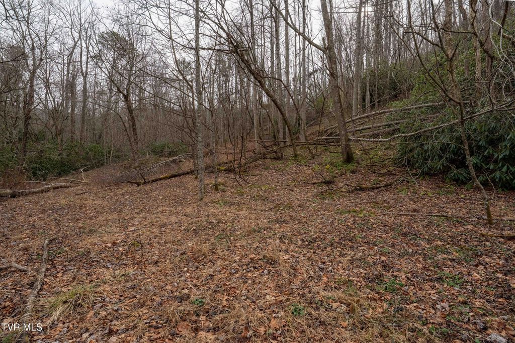 Photo of Tbd Laurel Road, Mountain City, TN 37683 (MLS # 9990222)