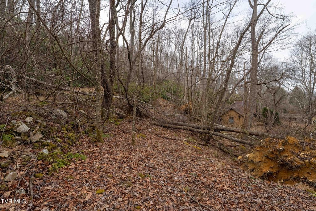 Photo of Tbd Laurel Road, Mountain City, TN 37683 (MLS # 9990222)