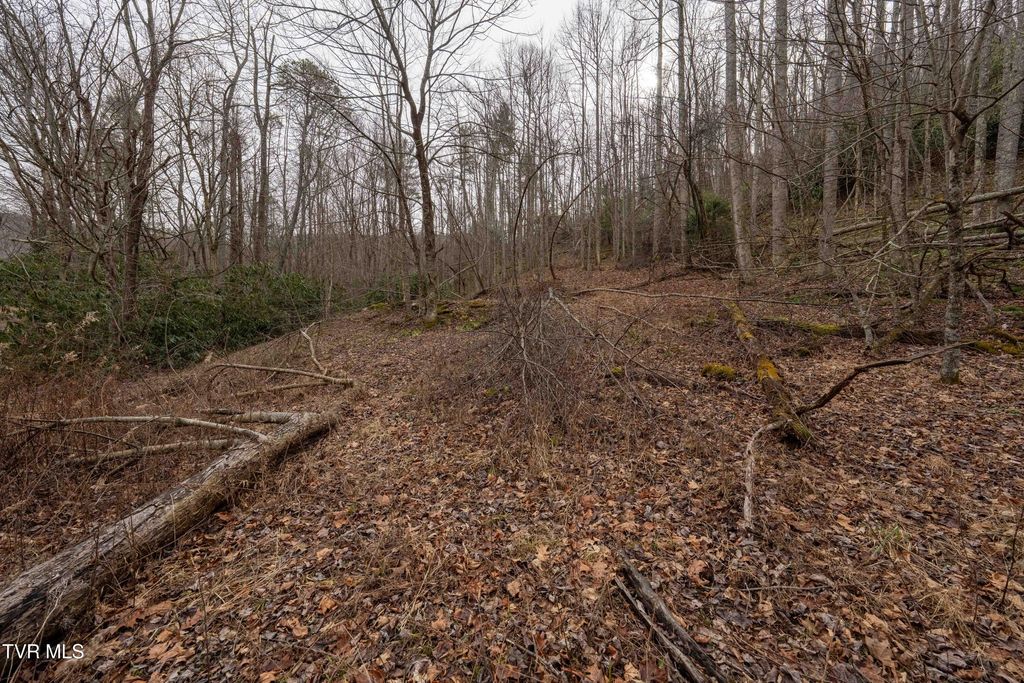 Photo of Tbd Laurel Road, Mountain City, TN 37683 (MLS # 9990222)