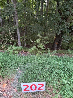 115 BOOS LN, UNICOI, TN 37692 - Image fe1bf802e8f8e5f854781392cb1d5a4a/1571405038