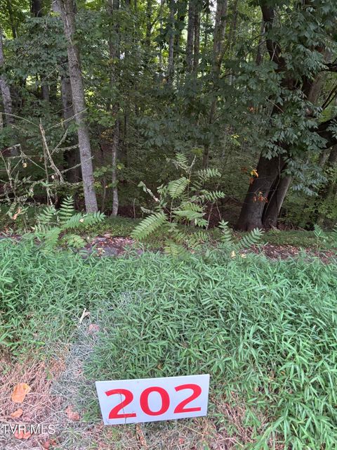 Vacant Land For Sale - 202 Ox Bow Ave<br/> Unicoi County, Unicoi, TN 37692