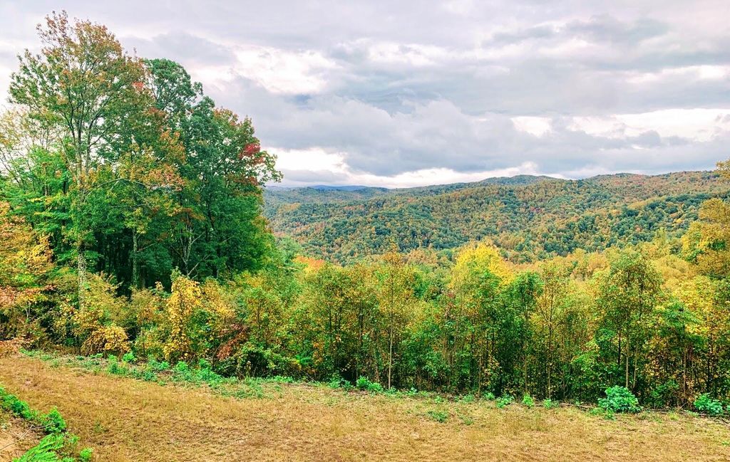 Photo of 403 Chestnut Circle, Butler, TN 37640 (MLS # 9989531)