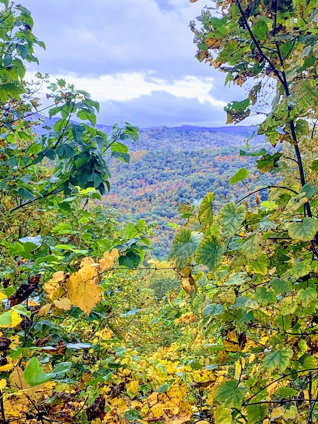 Photo of 403 Chestnut Circle, Butler, TN 37640 (MLS # 9989531)