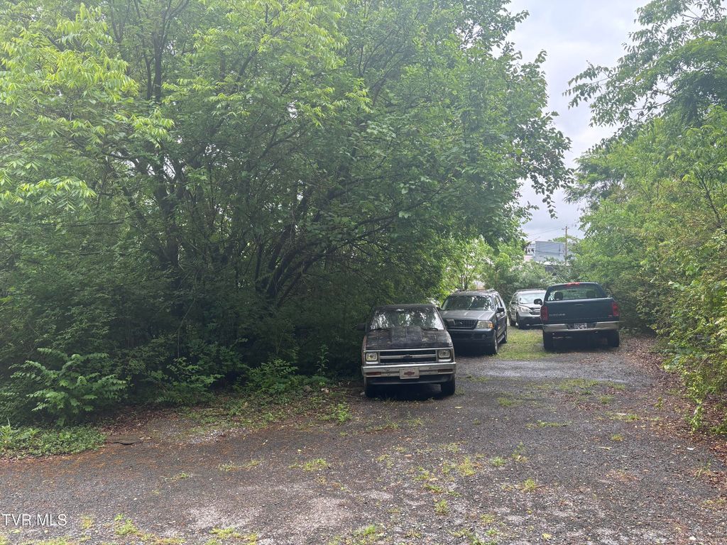Photo of 110 Hardin Street, Greeneville, TN 37745 (MLS # 9995745)