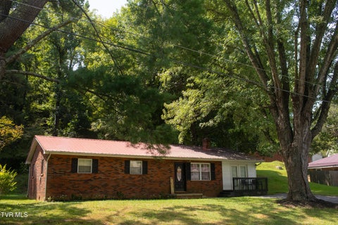 Homes For Sale - 828 Parkway Boulevard<br/> Carter County, Elizabethton, TN 37643