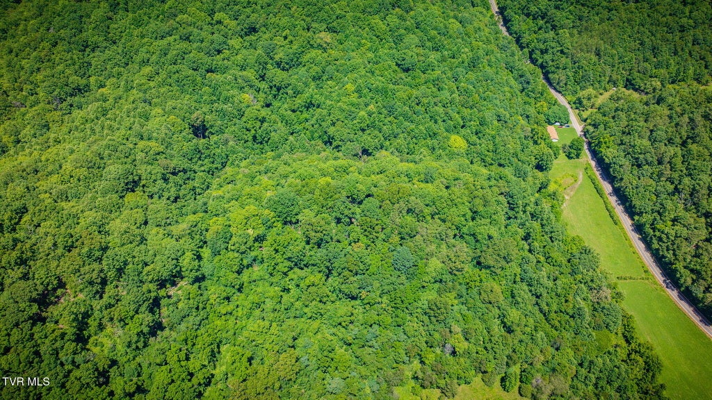 Photo of Tbd Hickory Cove Road, Rogersville, TN 37857 (MLS # 9998031)