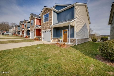 Photo of 373 Piper Glen, Gray, TN 37615 (MLS # 9991987)