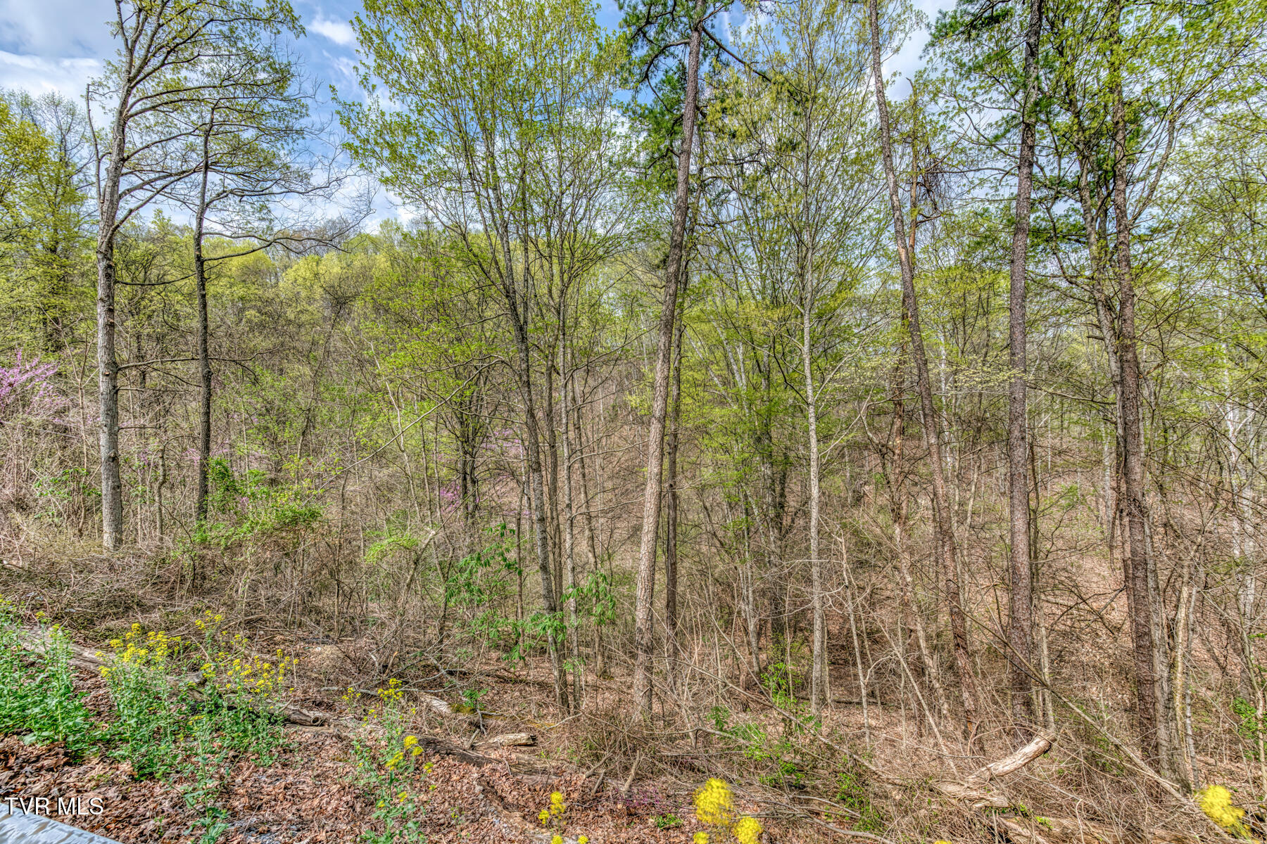 635 Harbor Springs Road, Kingsport, Tennessee image 11