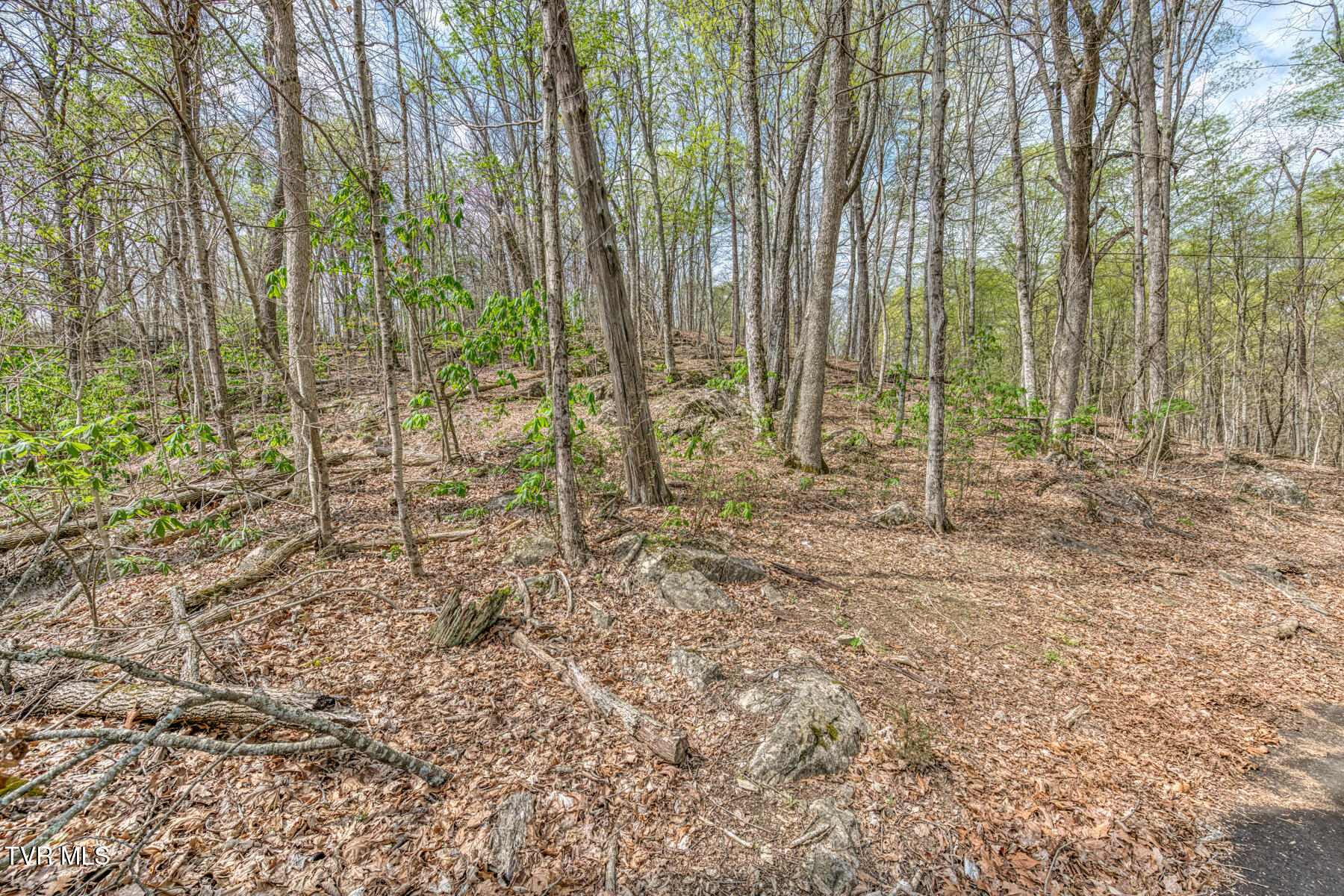 635 Harbor Springs Road, Kingsport, Tennessee image 6