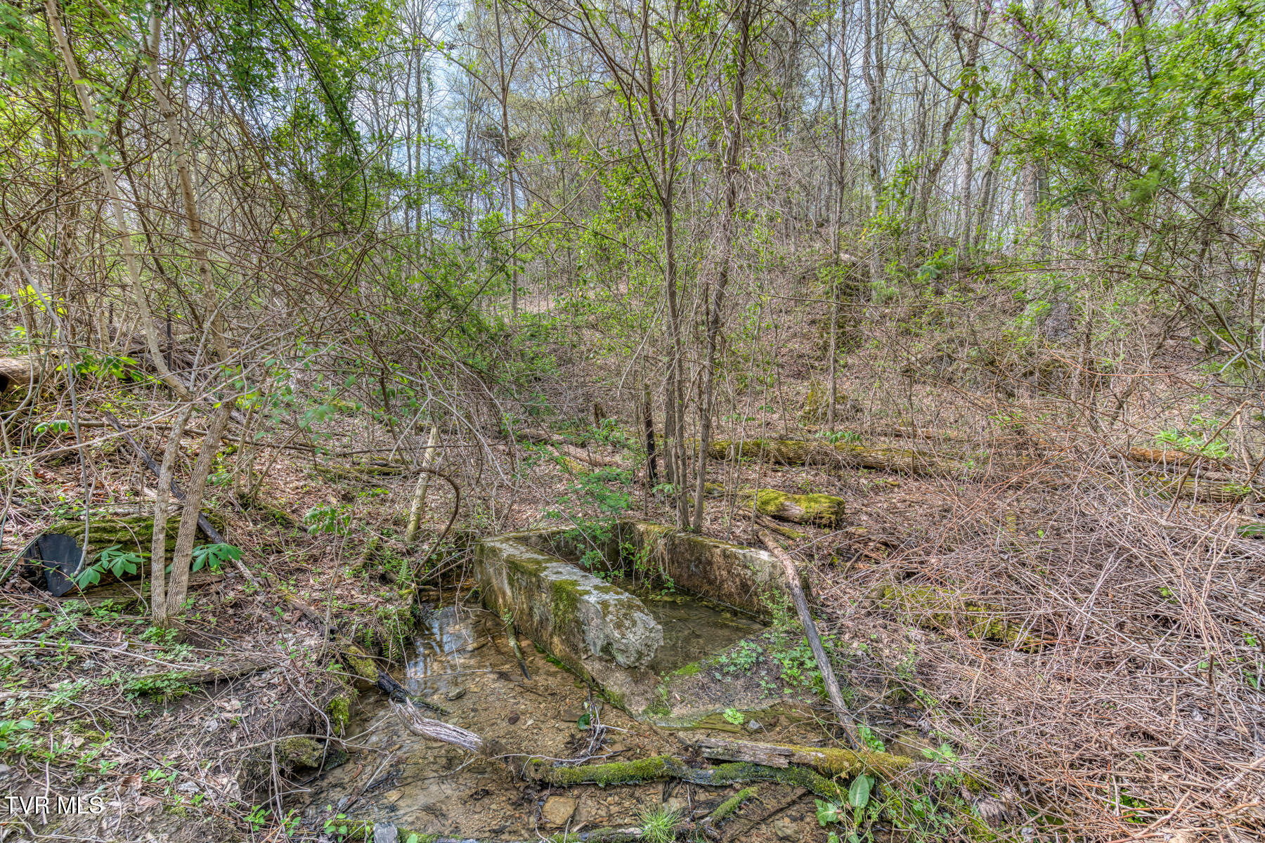 635 Harbor Springs Road, Kingsport, Tennessee image 14