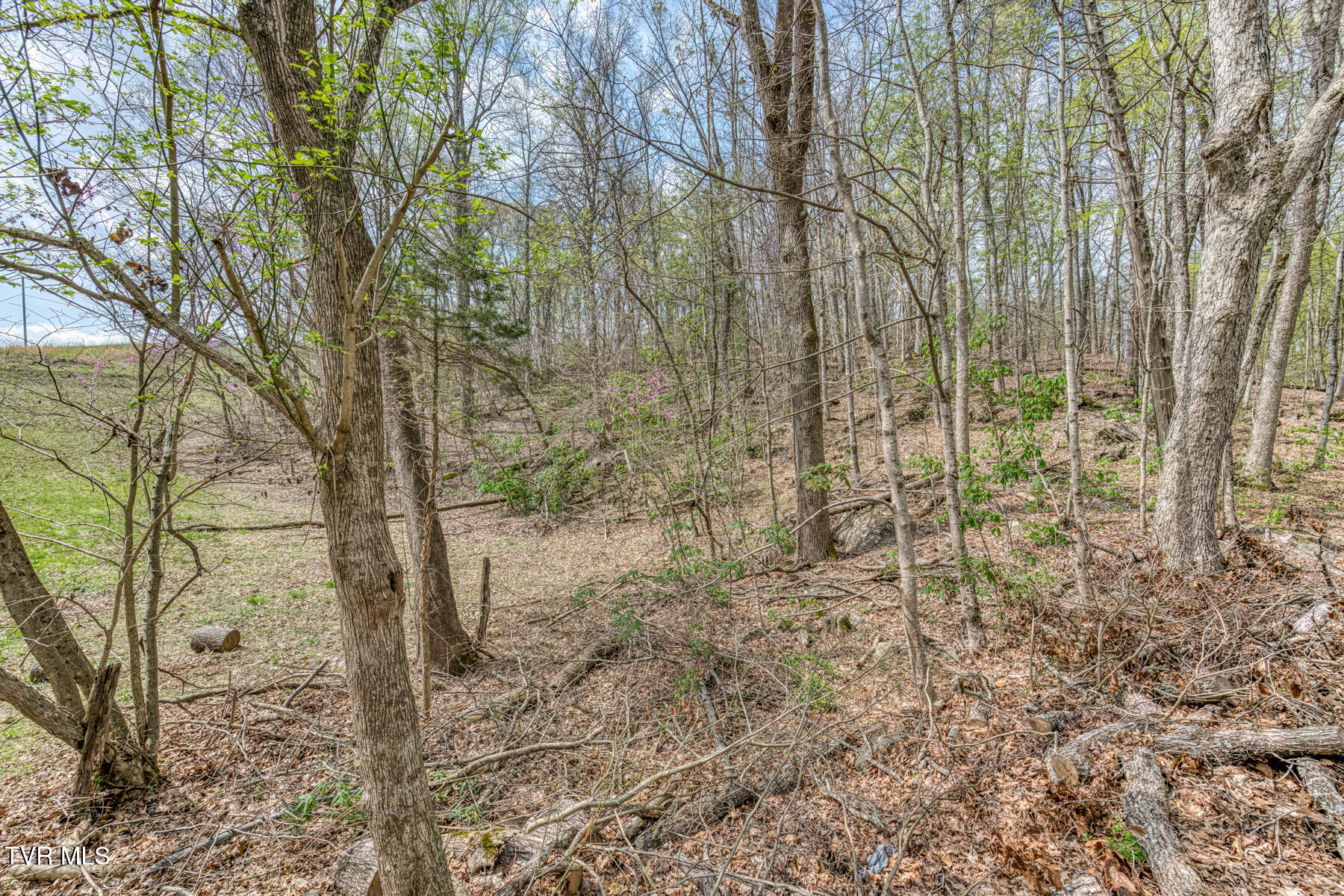 635 Harbor Springs Road, Kingsport, Tennessee image 5