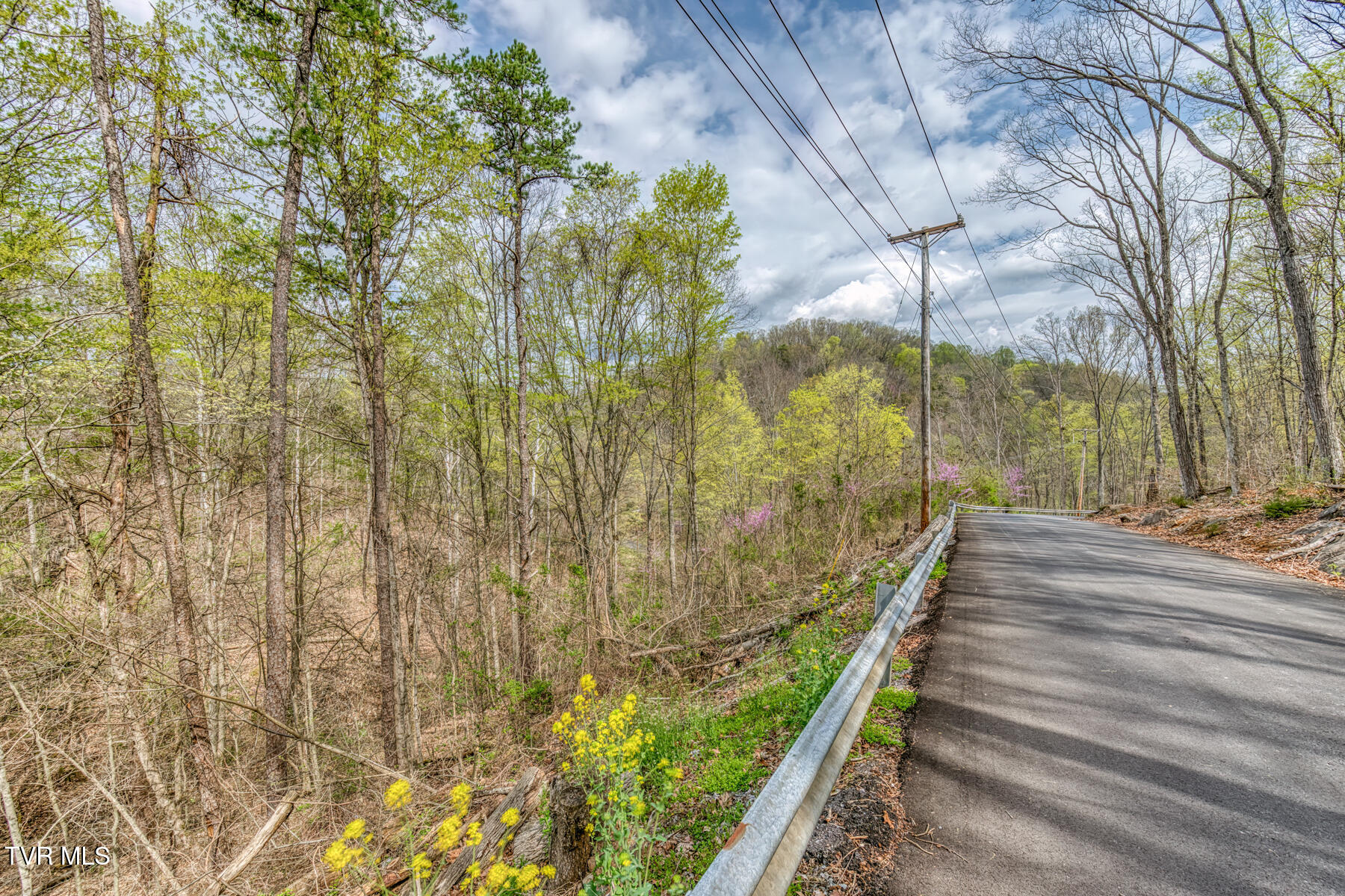 635 Harbor Springs Road, Kingsport, Tennessee image 12