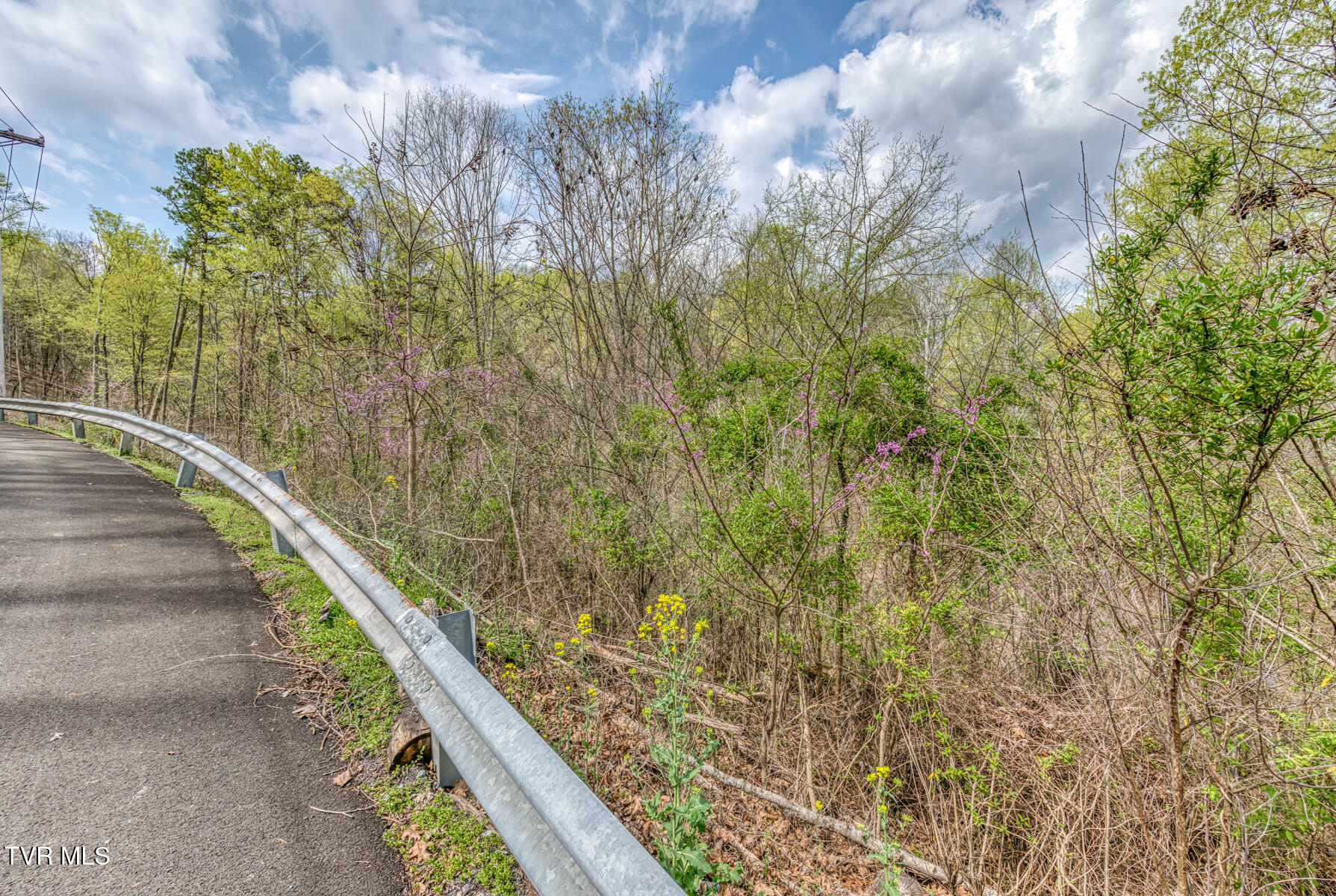 635 Harbor Springs Road, Kingsport, Tennessee image 13